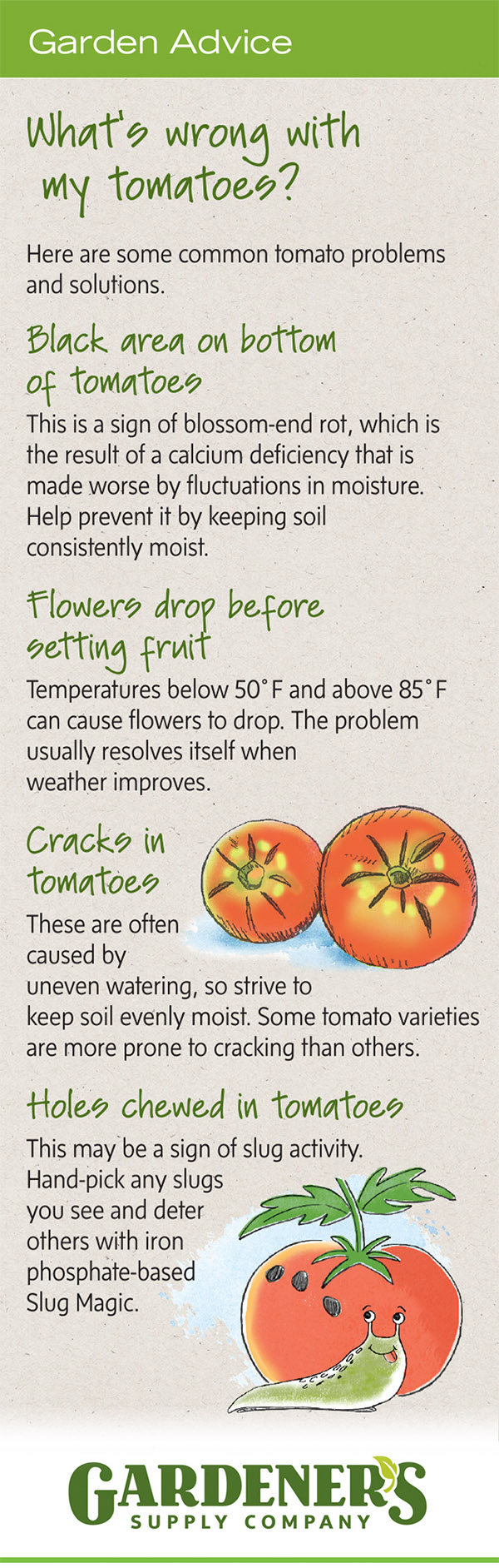 Troubleshooting tips for tomato problems