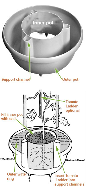 tomato halo diagram