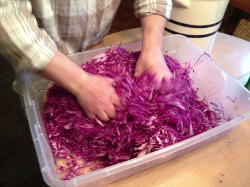 massaging shredded cabbage