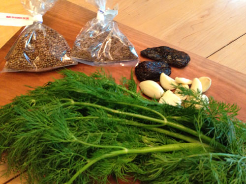 collection of fresh and dried herbs and spices for pickling