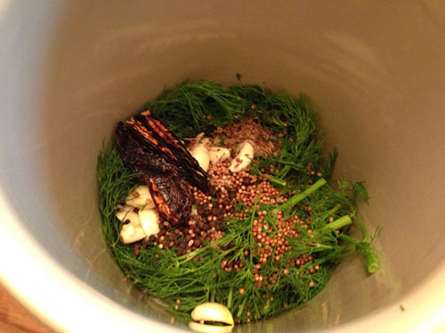 half of herbs and spices in the bottom of a pickling crock