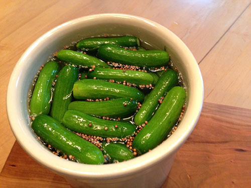 cucumbers floating in brine in a pickling crock